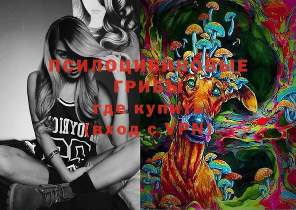 PSILOCYBIN Бронницы