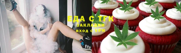 мдпв Бородино