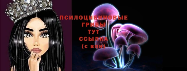 PSILOCYBIN Бронницы