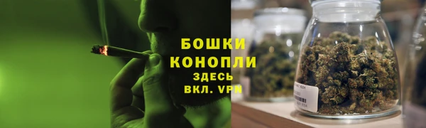 мдпв Бородино